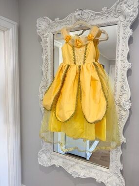 Beauty and the Beast Belle Princess Girls Costume Dress